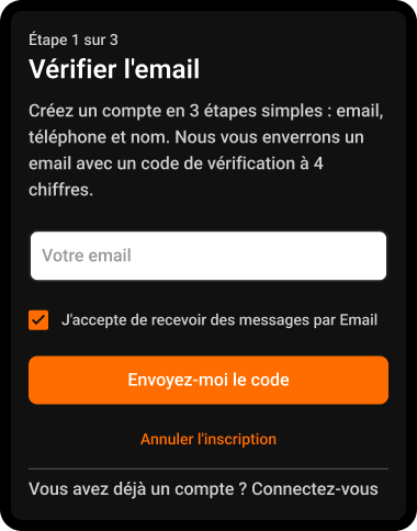Étape 4: Entrez votre e-mail et envoyez le code