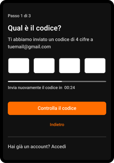 Passaggio 5: Inserisci il codice ricevuto via e-mail