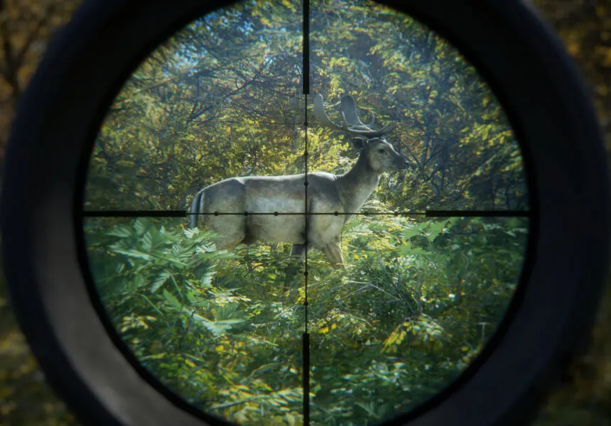 The Hunter Call of the Wild