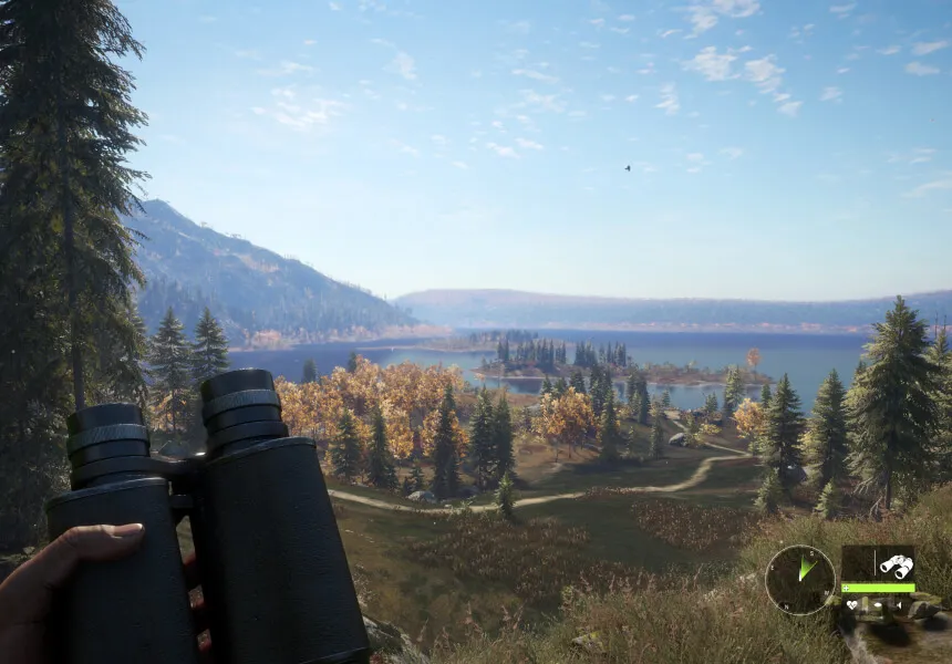 Platformlar, Erişilebilirlik ve Sistem Gereksinimleri