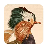 Art of Fauna: The Game That Changed Accessibility Forever - Apple’s Top 2025 App Store Games You Must Try