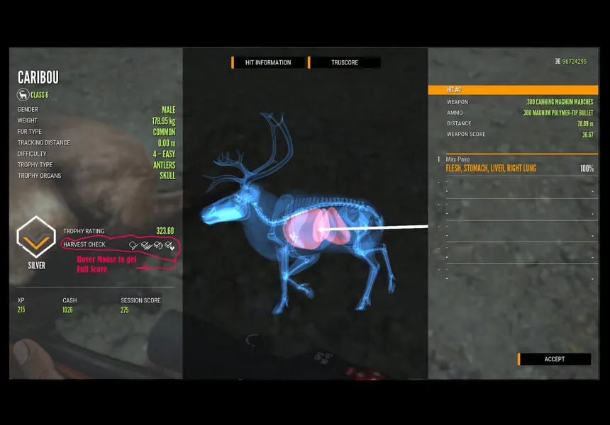 The Hunter Call of the Wild