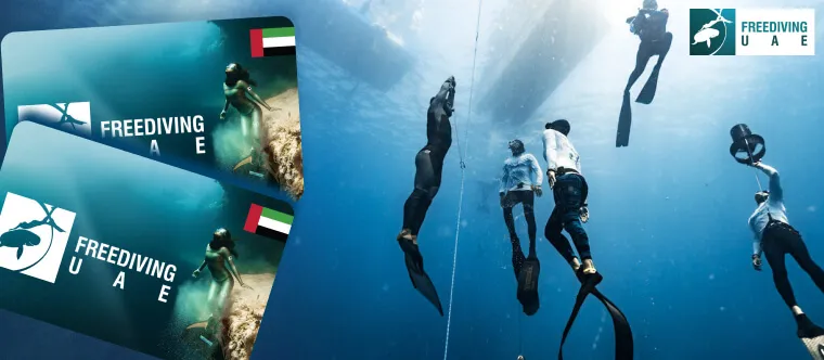Freediving UAE - Dubai Garden Glow - Dubai Aquarium - Buy Home Centre UAE Gift Card from ARPay 