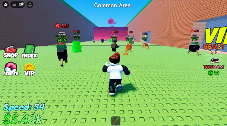 Yaygın Escape Tsunami Brainrot