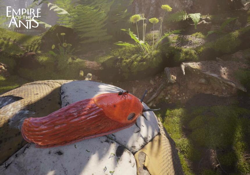 Empire of the Ants: في عالم النمل الصغير... حروب كبيرة 1 ما هي ميكانيكا Empire of the Ants؟