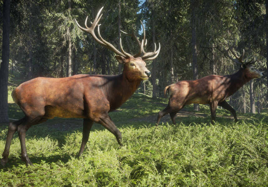 The Hunter Call of the Wild: أفضل لعبة صيد لعام 2025 3 استخدم أجهزة النداء بحذر: - The Hunter Call of the Wild