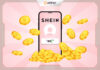 How to Check SHEIN Gift Card Balance | Quick Guide from ARPAY