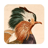 Art of Fauna: The Game That Changed Accessibility Forever - Apple’s Top 2025 App Store Games You Must Try