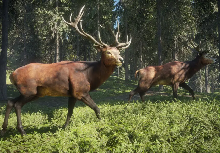 The Hunter Call of the Wild: أفضل لعبة صيد لعام 2025 3 استخدم أجهزة النداء بحذر: - The Hunter Call of the Wild