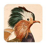 Apple’s Top 2025 App Store Games You Must Try 6 Art of Fauna: The Game That Changed Accessibility Forever - Apple’s Top 2025 App Store Games You Must Try